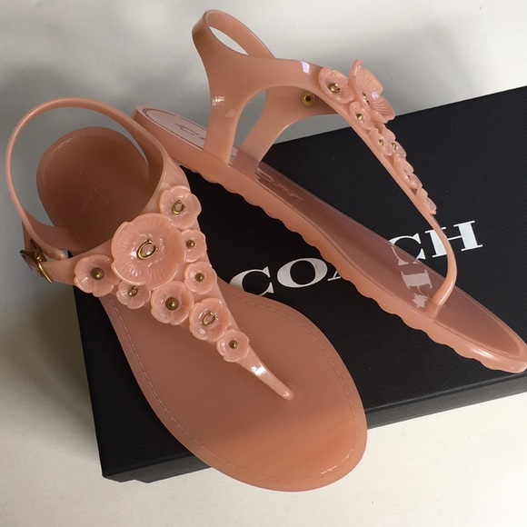 Coach Shoes - New in box Coach sandals